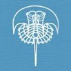 University of Kansas Paleontological Institute (@paleoinstitute) 's Twitter Profile