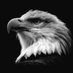 eagle (@1godofthesky) Twitter profile photo