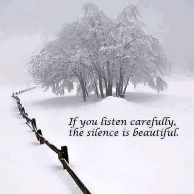 TomislavVa44414's profile picture. 