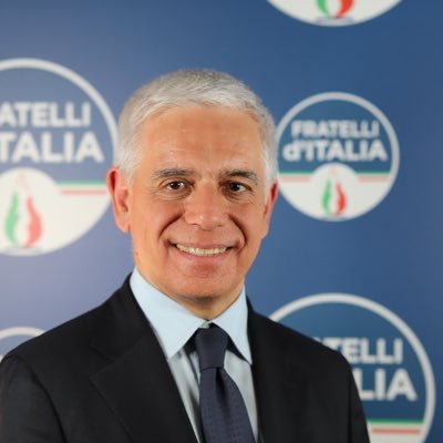 Deputato di Fratelli d’Italia, già parlamentare europeo, assessore in Lombardia, consigliere regionale, amministratore di società e tanto altro.