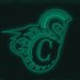 Castleton Football (@CastletonFB) Twitter profile photo