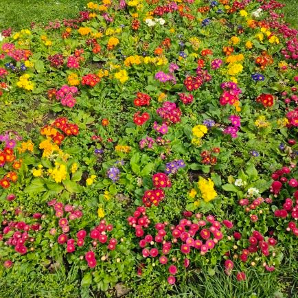 andreani1321's profile picture. 