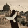 fehvaam's profile picture. Üslûbun çürükse anlattığın gül,çiçek değildir. أ