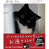 91800.eth@改名検討中 (@hepaticm869) 's Twitter Profile