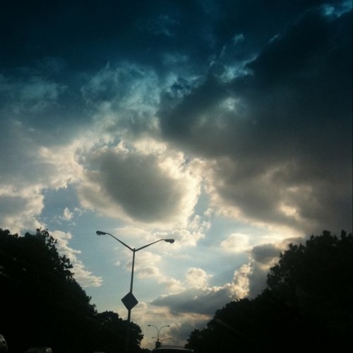 DovidHalevi's profile picture. 