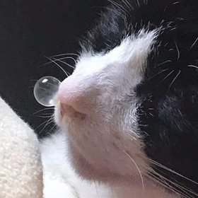 好きなものを好きなだけ話す
サロメ嬢好きです🥰
I have mess up English.