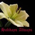 HolidaysAlways's profile picture. Эта страница посвящена праздникам. Праздники каждый день - гуляем, господа!