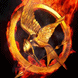 LeHungerGames's profile picture. Hunger Games Fan ♥