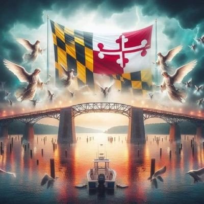 Stitch88196's profile picture. 