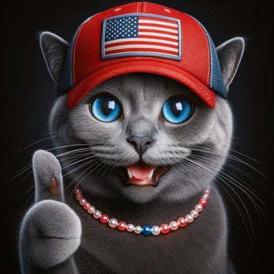 AmeriQuinnCat Profile Picture