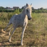 Bahrcoco #jamaissanszemmour (@bahrcoco) 's Twitter Profile