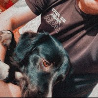 Rejas (@rubenfn31) 's Twitter Profile