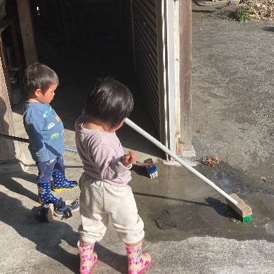 xylo_yoshiyoshi's profile picture. 