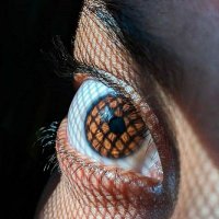 Sevim Çahan (@mandilanab) 's Twitter Profile