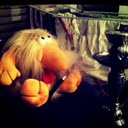 Nir Golan - @NirGolan1 - Twitter