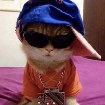 AstridScot97199's profile picture. @daylightenergy_ early riser