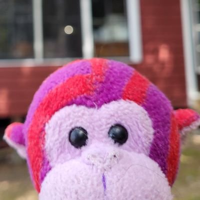 💜These are the adventures of Monkey! We travel around and take photos. Nice to meet you!! 🐵❤️ よろしく!