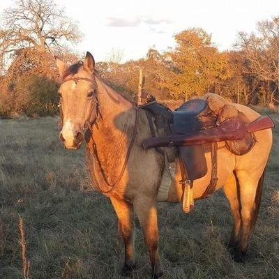 _dbonds's profile picture. In the bleak midwinter
Frosty wind made moan
Earth stood hard as iron
Water like a stone
Snow had fallen
Snow on snow on snow
In the bleak midwinter
Long....
: