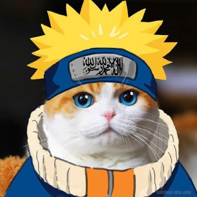 Cataruto Uzumeowki