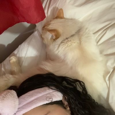 hericajc2222's profile picture. 