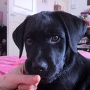 florence gauthier - @florence94400 - Twitter