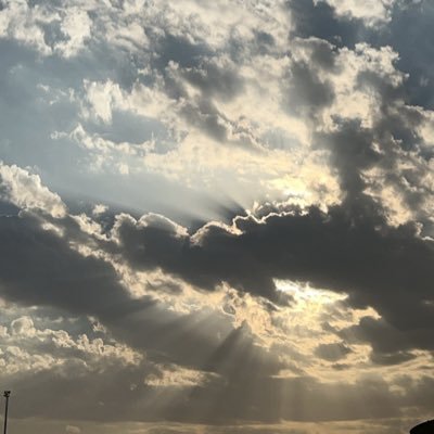 حدثني حدسي ؛ أن هناك ربيعاً سينبُت في صدري ، وأني امرأةٌ ذات حظ عظيم