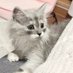 らんまる🐾 (@1224_ranmaru_jp) Twitter profile photo らんまる🐾 (@1224_ranmaru_jp) Twitter profile photo