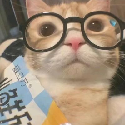SrikhunSup74298's profile picture. -;