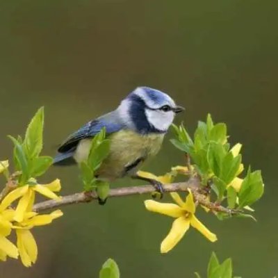 benefitgli53869's profile picture. 