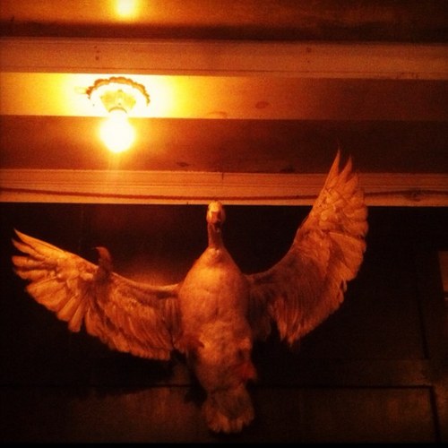 Doug_Keith's profile picture. 