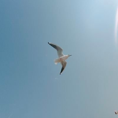 FcAmaXKoMeqQxMB's profile picture. 