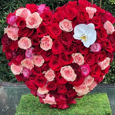 keniacn64's profile picture. 