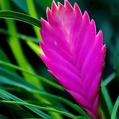 w15277131616's profile picture. 