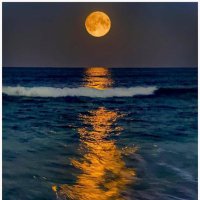 Barb_Eppilito (@barbeppi) 's Twitter Profile