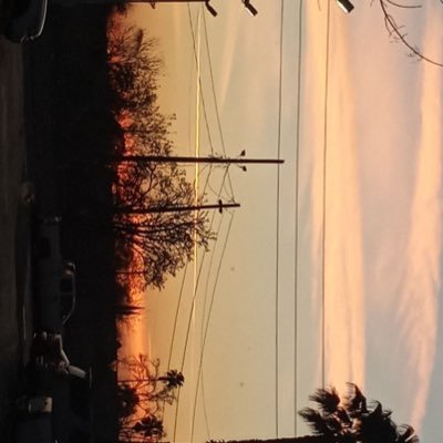 Jonatha15943000's profile picture. 