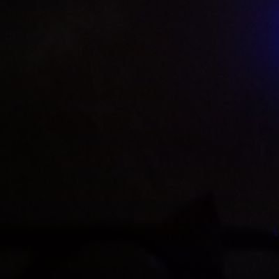 FatimaHoor29391's profile picture. I am nothing whitout namaz