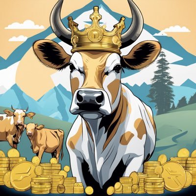 ansonlai1004's profile picture. 