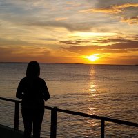 Nancy Perez (@nancype26627623) 's Twitter Profile