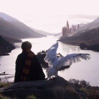 Rawan (@rawansa96784958) 's Twitter Profile