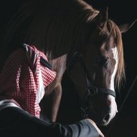 Badr (@badr183729927) 's Twitter Profile