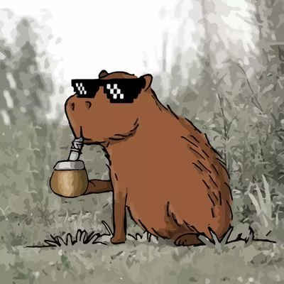 RodrigoGrau11's profile picture. -Fan a muerte de Los Simpsons. Todo se puede responder con una meme de ellos...