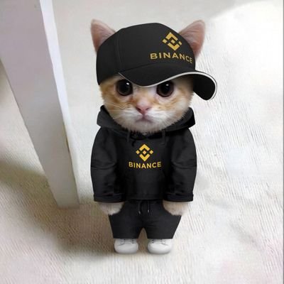 HoangPhamDuy4's profile picture. 100.000.000 usd