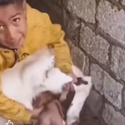 UpCrypto13088's profile picture. 