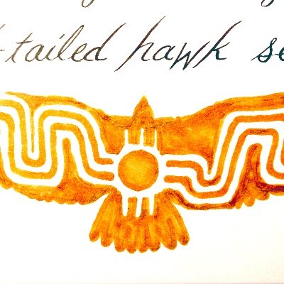 Indigenous Artist. Nyahh-El Valle-Suns-DBacks-Cardinals-Yotes!