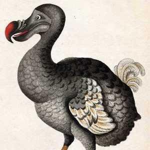 JingSha70870's profile picture. 