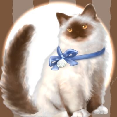 味噌さんのプロフィール画像