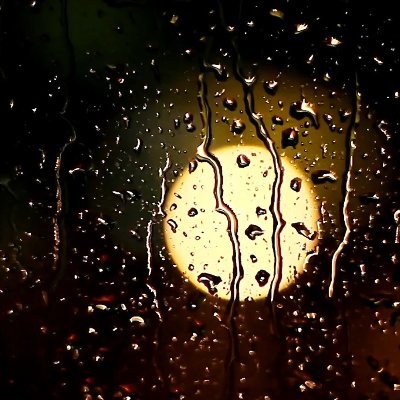 brassmtn's profile picture. 