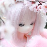 もあ (@moremoremagic) 's Twitter Profile