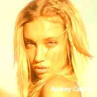 Audrey Carroll (@udreycarroll) 's Twitter Profile
