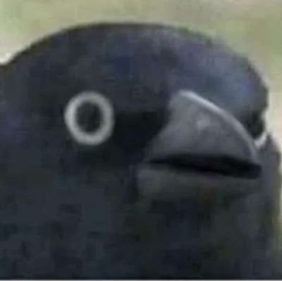 THEWORLDHIGHVOT's profile picture. Society goes wild